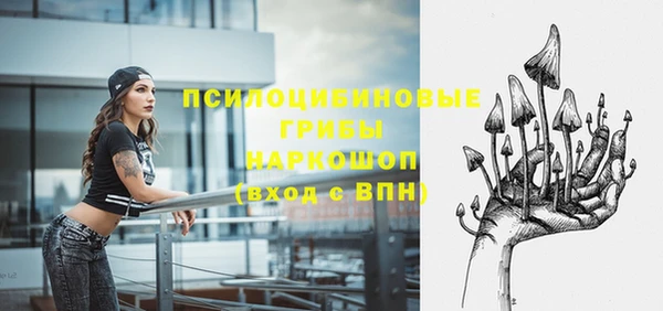дживик Няндома