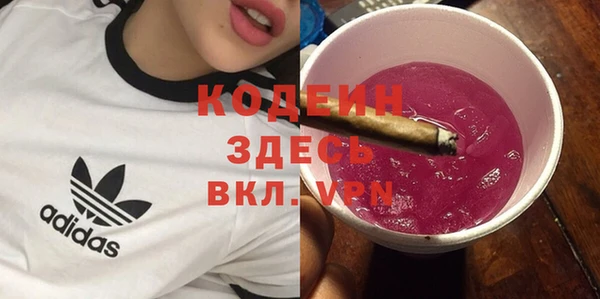 дживик Няндома