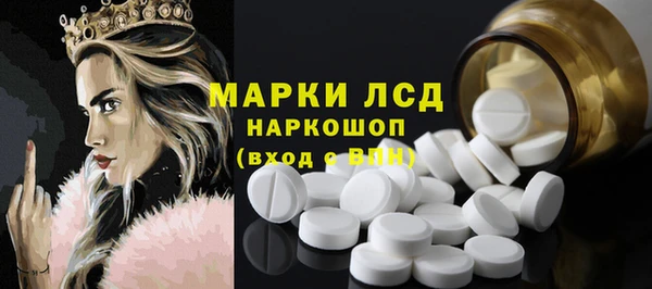 дживик Няндома