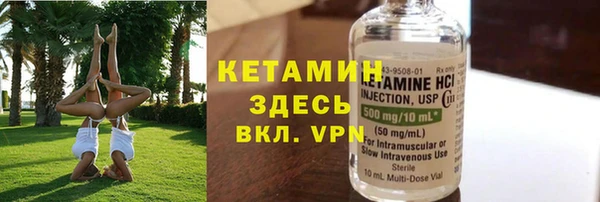 дживик Няндома