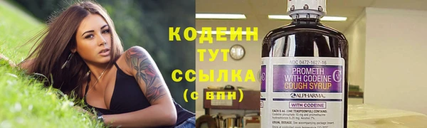 дживик Няндома