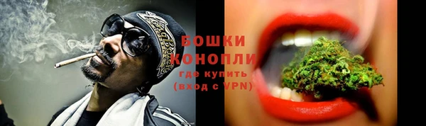 дживик Няндома