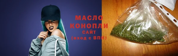 дживик Няндома
