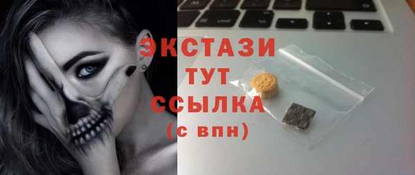 дживик Няндома