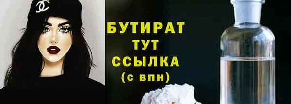 дживик Няндома