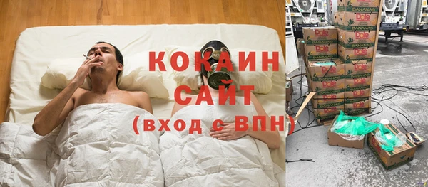индика Бутурлиновка