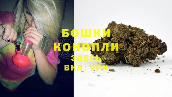 дживик Няндома