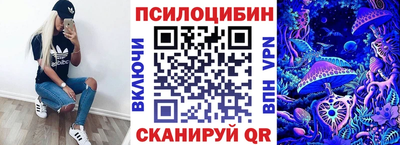 Псилоцибиновые грибы мицелий купить наркоту Аша