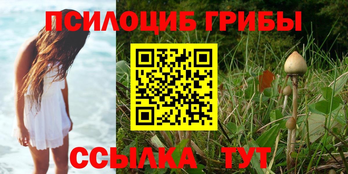 Галлюциногенные грибы прущие грибы Аша