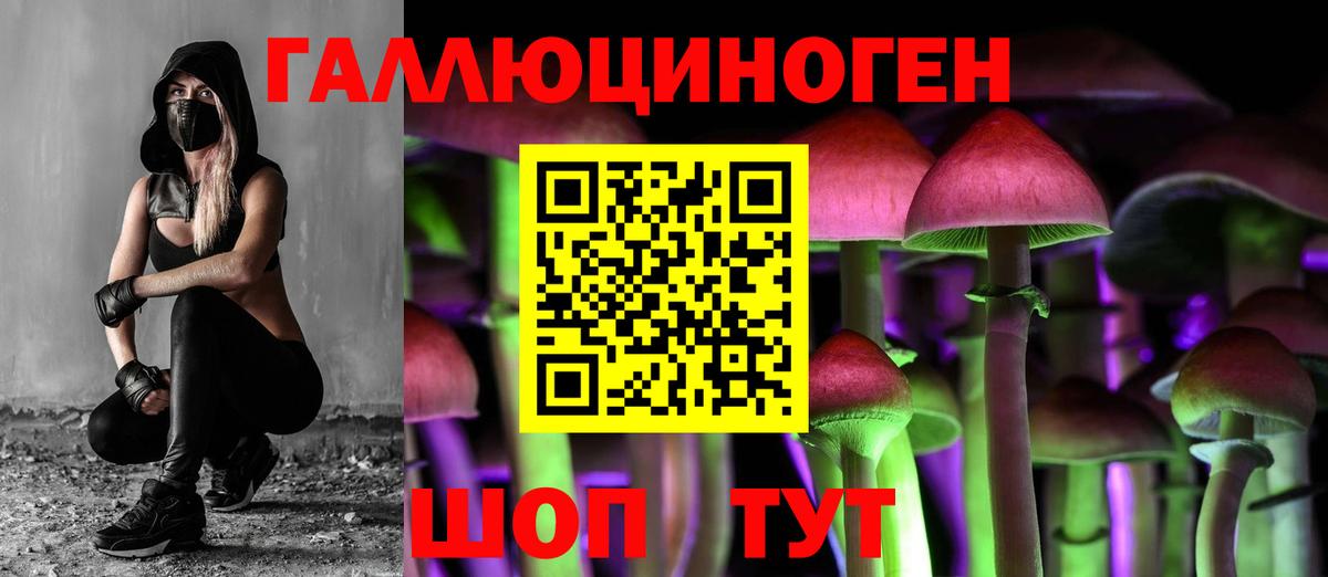 Галлюциногенные грибы мухоморы Аша