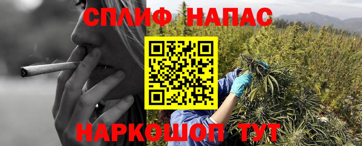 Марихуана план Аша